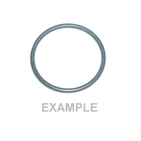 Yanmar JL55601 - O-ring